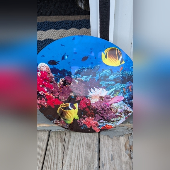 Raccoon Butterflyfish Metal Circular Picture - Picture 1 of 5